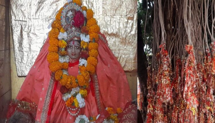 Chaitra Navratra 2023: दर्शन मात्र से भक्तों की पूरी होती है इच्छाएं, मां मनसा देवी की यह है मान्यता